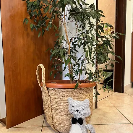 Apartman Biba Pula