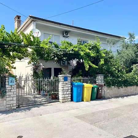 Biba * Pula