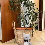 Appartement Biba Pula