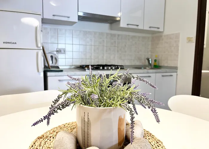 Apartman Biba Pula